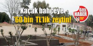 İzinsiz, onaysız’ devam 