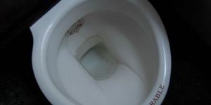 İnsan dışkısında milyonlarca dolarlık altın