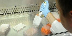 Bütün bir ulusun genetik kodu çıkarıldı