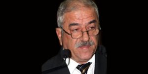 Çıkarılan yasaların tümü süs