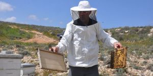 Arıcılar: “Teşvikler daha da artmalı”