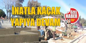 Devlet eliyle YASADIŞILIK!