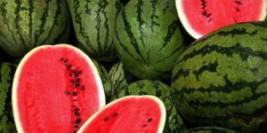 Zerdali, erik, kayısı ve karpuz ithaline yasak