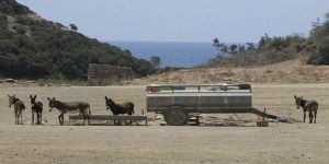  “Çevreye verilen zarar büyük boyutlara ulaştı”