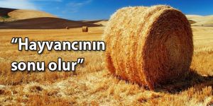 Hayvancıdan “balya” tepkisi