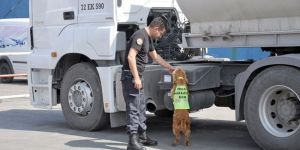 Narkotik Mağusa Limanı’nda arama yaptı