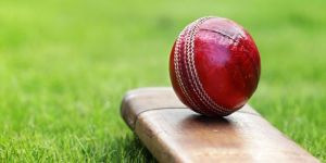  Kriket buluşturacak