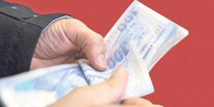 Büyükbaş ile narenciye üreticilerinin zararları ödendi