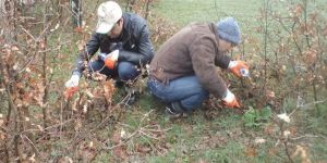 “Sivrisineklerle mücadele konusunda biyolojik yöntemler kullanılıyor”