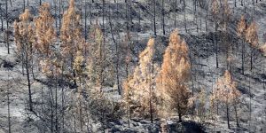 1 Mayıs’tan itibaren ateş yakmak yasak!