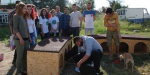 Sokak hayvanları yararına etkinlik