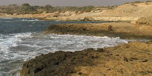 Sahilde ERKEK CESEDİ