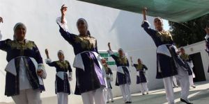 Gönendere Kültür ve Sanat Şenliği