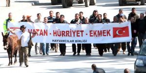 Amcaoğlunun sözleri hayvancıyı öfkelendirdi