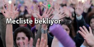 Şiddet çok, tasarı beklemede…