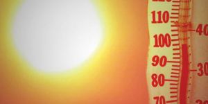 Hava sıcaklığı 31 derece