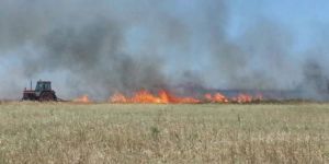 125 dönüm biçilmemiş tahıl yandı