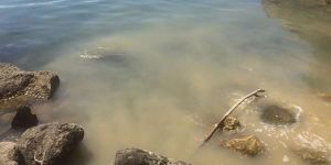 Girne’de lağım denize akıyor