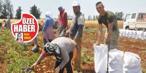 Türkiyede 5 TL, BİZDE 1.3 TL