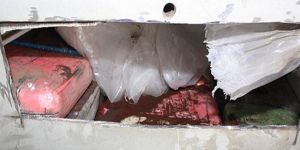 Düşen uçaktan 1,2 ton kokain çıktı