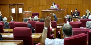 ‘Bilgi Teknolojileri’ onaylandı