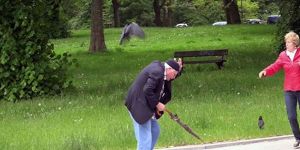 Kuşlar filmi gerçek oldu