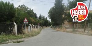 Kermiyaya alternatif bir geçiş daha açılsın