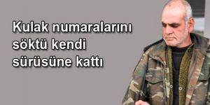 Sürüsüne karışan hayvanları, aldı, kaçtı!