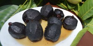 “Yeşil Lefke Sizi Çağırıyor”