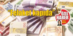 DÖVİZ KRİZİ ENDİŞESİ