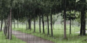 YAZ YAĞMURU GELİYOR