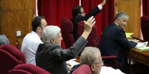 Siyasal Partiler Yasası’na OYBİRLİĞİ