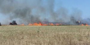 Çevreciler anız yakmaya karşı uyardı