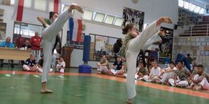 Sinan Erdem tekvando ile anıldı