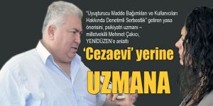 ‘Cezaevi’ yerine UZMANA
