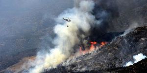 Kanadada orman yangınları 3 eyalete yayıldı