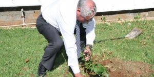 Hatıra olarak fidan dikti