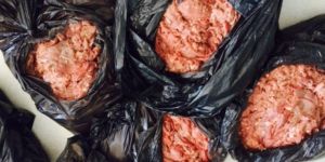 89 kilo et imha edildi