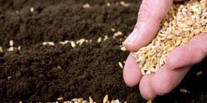 ‘Kura yöntemiyle’ İSTİHDAM