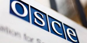 AGİT’e göre tutuklu gazeteci sayısı 21