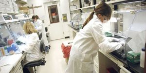 2015 yılında sadece 30 kimlik tespiti