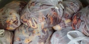 LTB, 38 işyerini denetledi