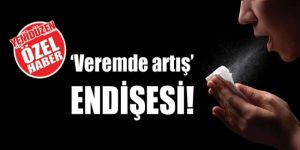‘Veremde artış’ ENDİŞESİ!