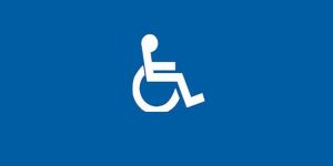 Gençlik Festivaline anlamlı katılım