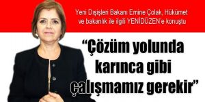 “Çözüm yolunda karınca gibi çalışmamız gerekir”