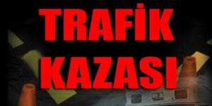 Birbirlerine girdiler!