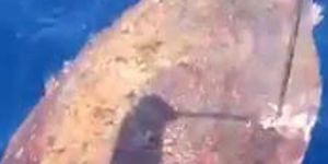 BUNUN ADI CANİLİK!