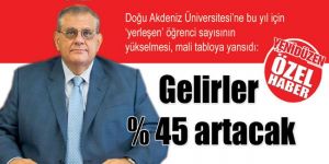 Gelirler % 45 artacak