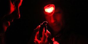 Çevre dostları kaplumbağa gözleminde buluştu