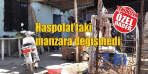 Burada yaşıyorlar!